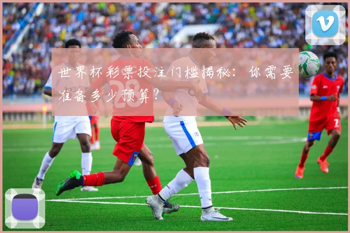 世界杯彩票投注门槛揭秘：你需要准备多少预算？