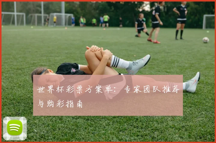 世界杯彩票方案单:专家团队推荐与购彩指南