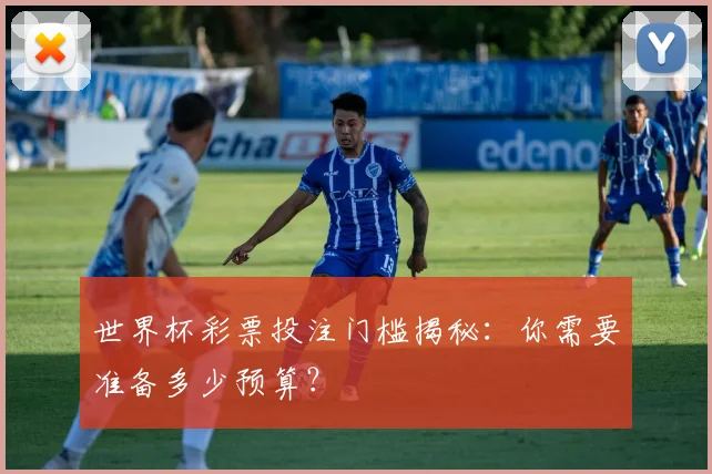 世界杯彩票投注门槛揭秘：你需要准备多少预算？
